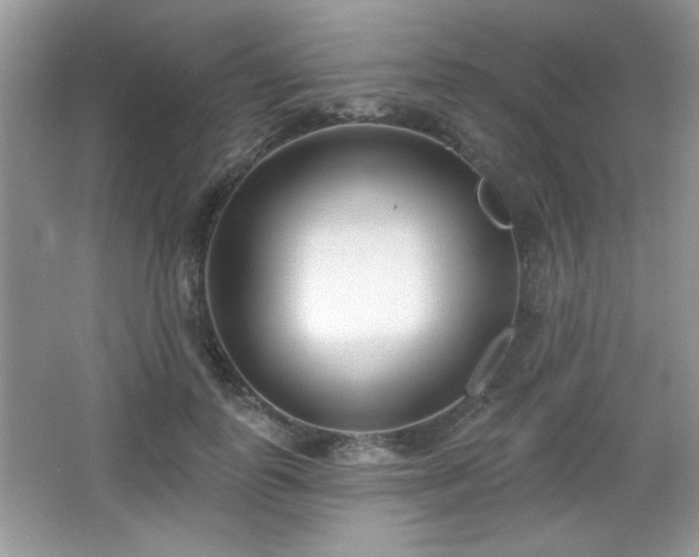 X0000066990747200603271314