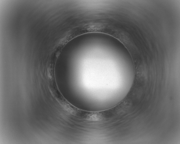 X0000066990755200603271314