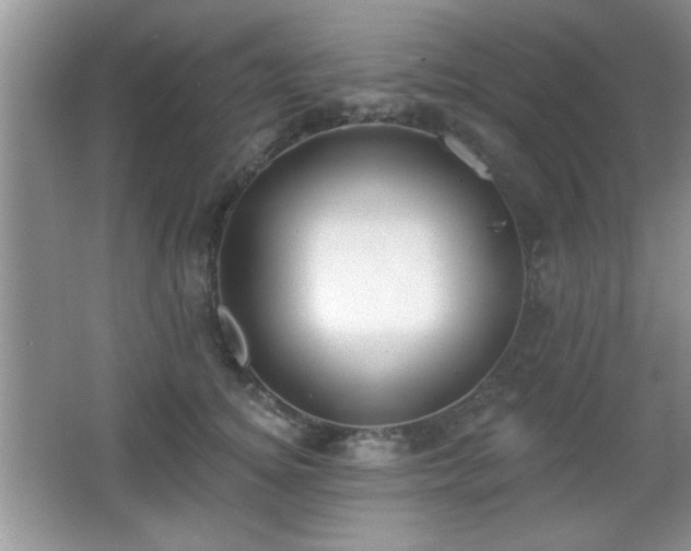 X0000066990756200603271314