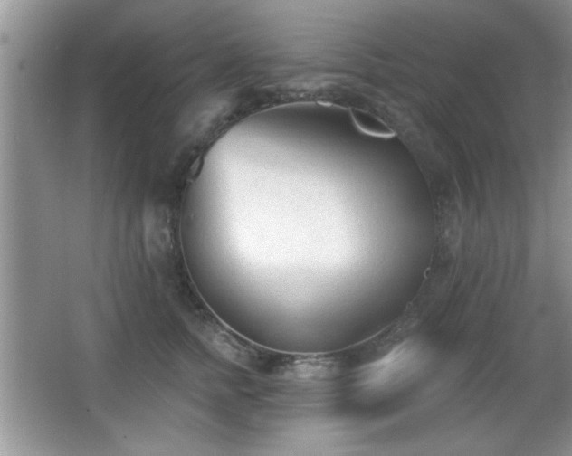 X0000066990758200603271314