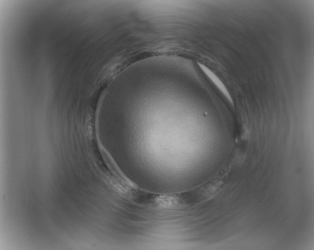 X0000066990762200603271314