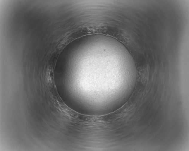 X0000066990770200603271313