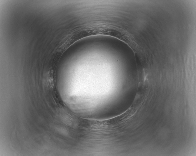 X0000066990771200603271313