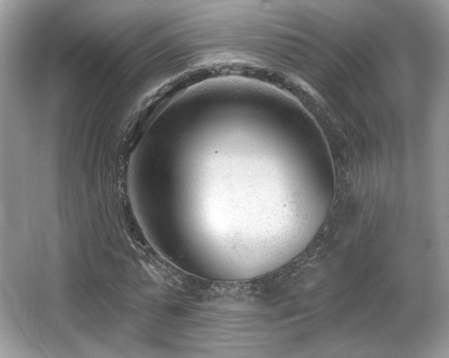 X0000066990775200603271313
