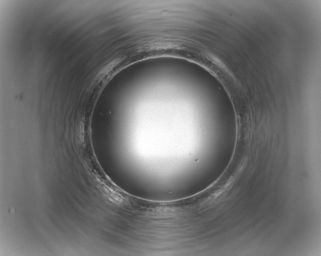 X0000066990777200603271313