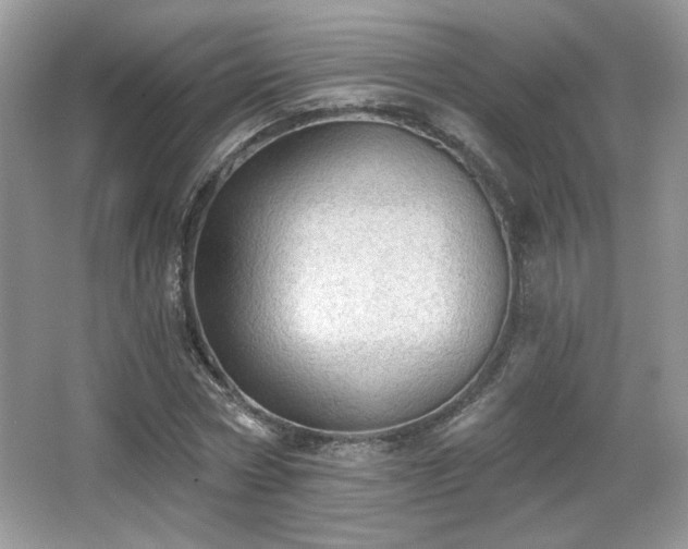 X0000066990778200603271313