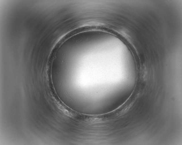 X0000066990783200603271313