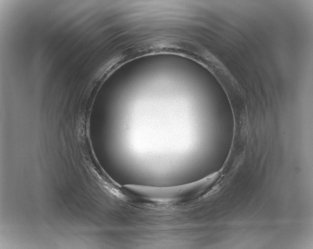 X0000066990785200603271313