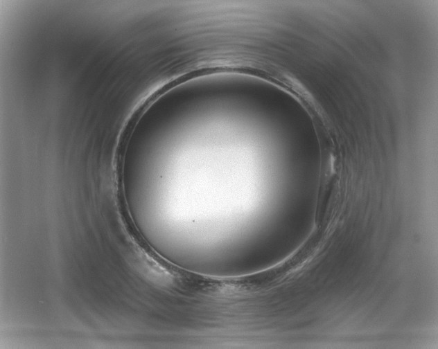 X0000066990787200603271313