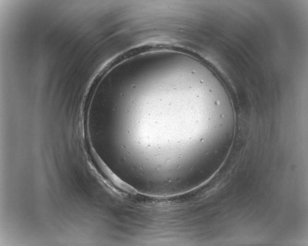 X0000066990791200603271313