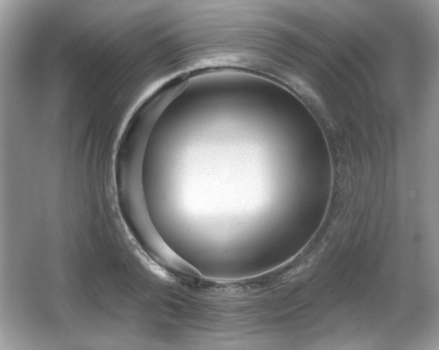 X0000066990792200603271313