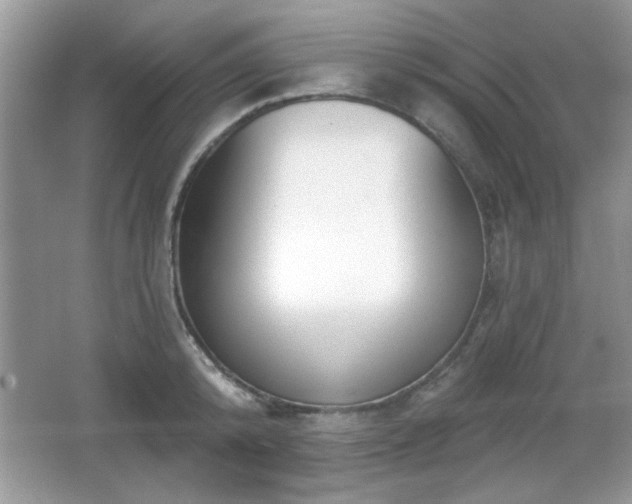 X0000066990800200603271313