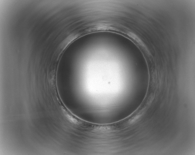 X0000066990801200603271313