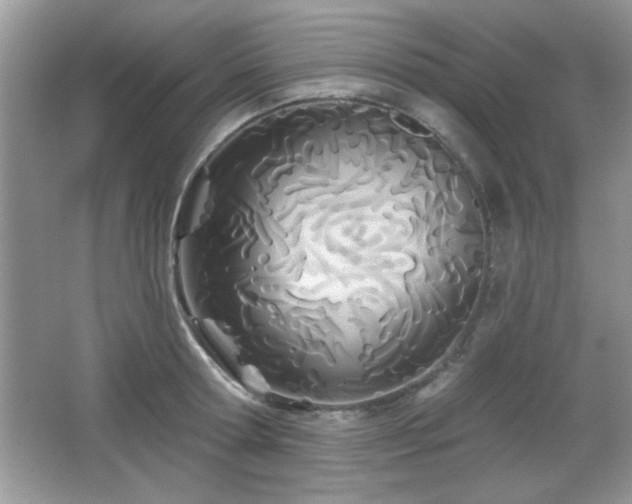 X0000066990802200603271313