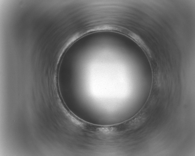 X0000066990805200603271313