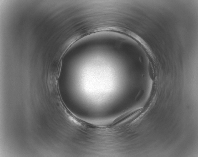X0000066990809200603271313