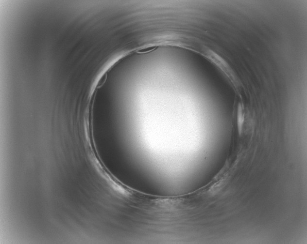X0000066990812200603271313