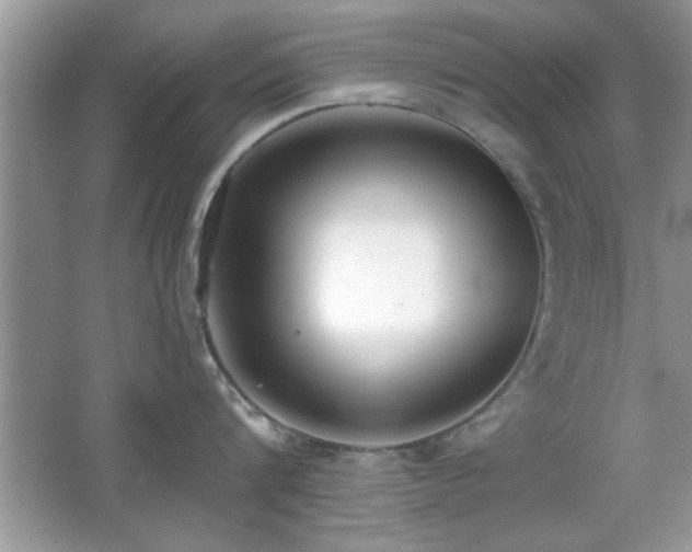 X0000066990816200603271312