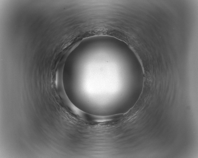 X0000066990818200603271312