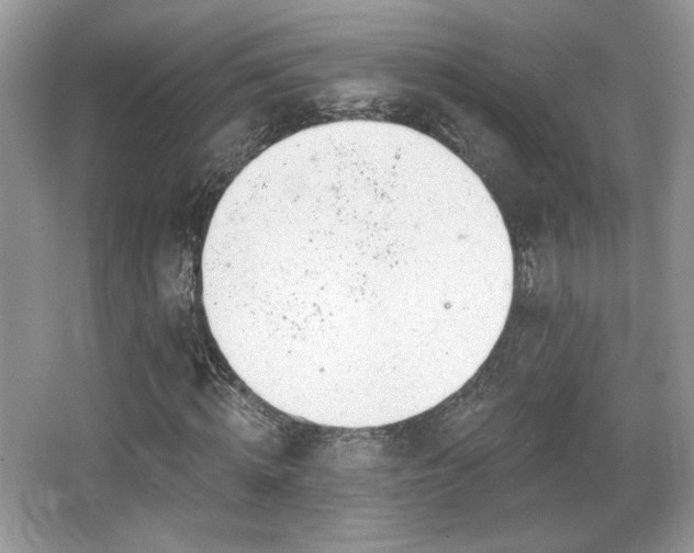 X0000066990820200603271312