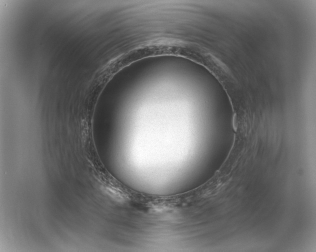 X0000066990821200603271312