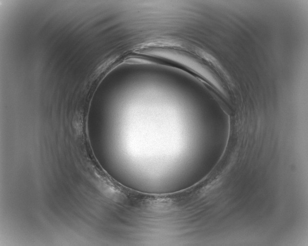 X0000066990833200603271312