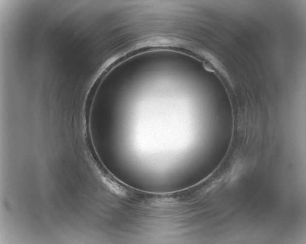 X0000066990837200603271312
