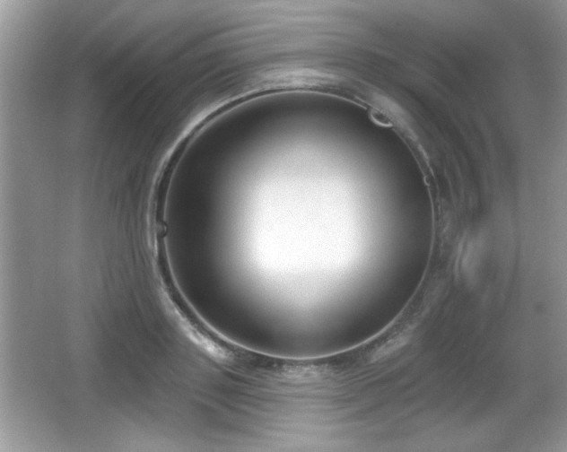 X0000066990843200603271312