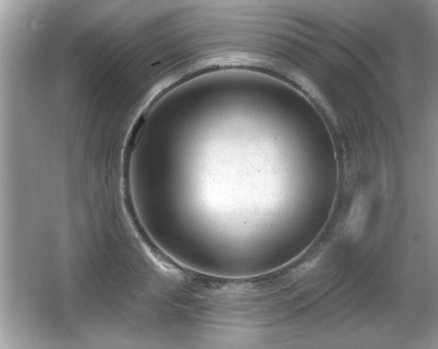 X0000066990845200603271312