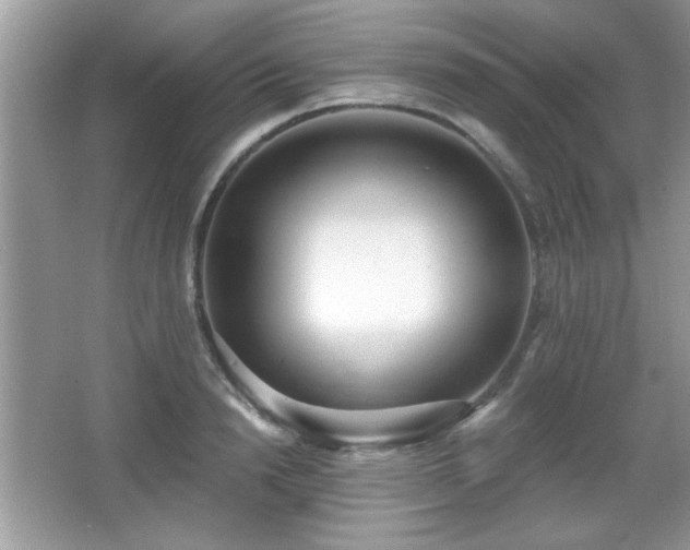 X0000066990846200603271312