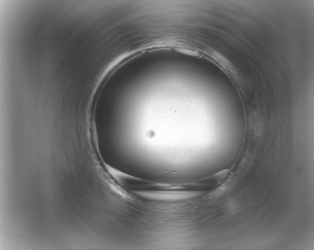 X0000066990854200603271312