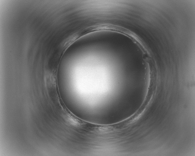 X0000066990857200603271312
