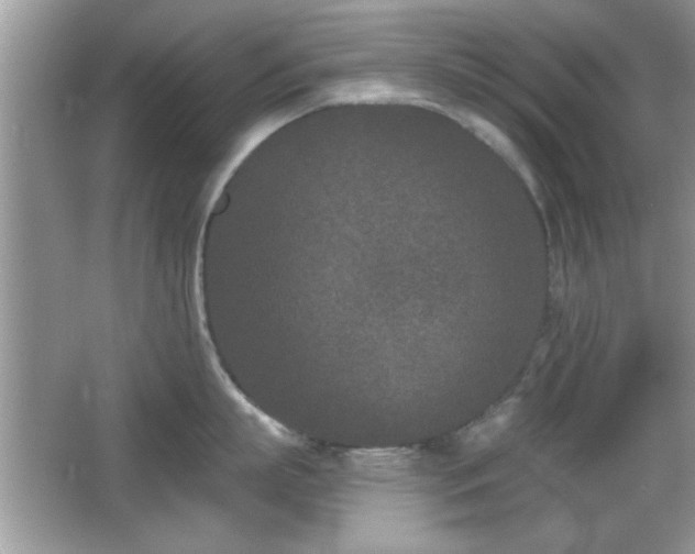 X0000066990863200603271312