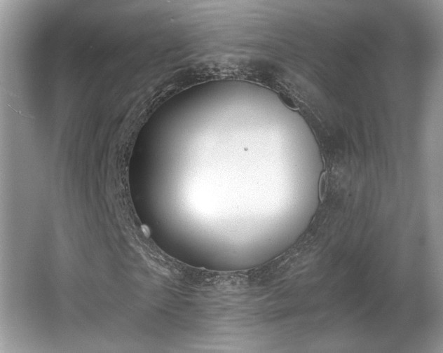 X0000066990865200603271312