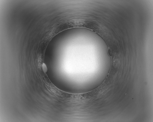 X0000066990866200603271312