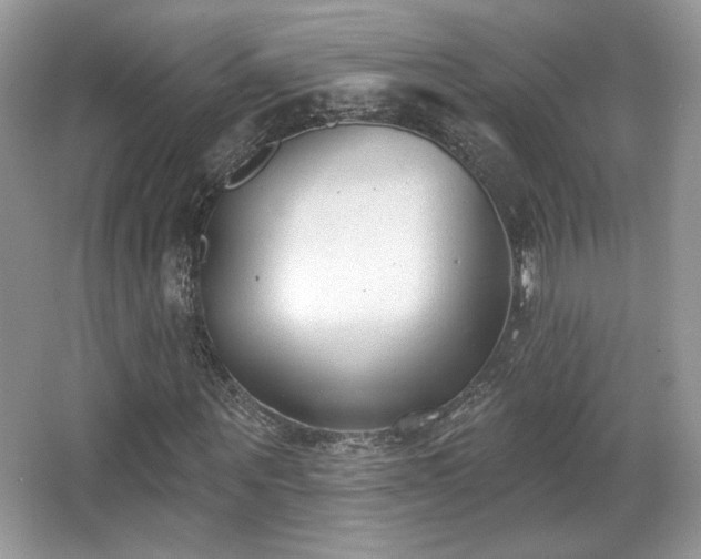 X0000066990867200603271312