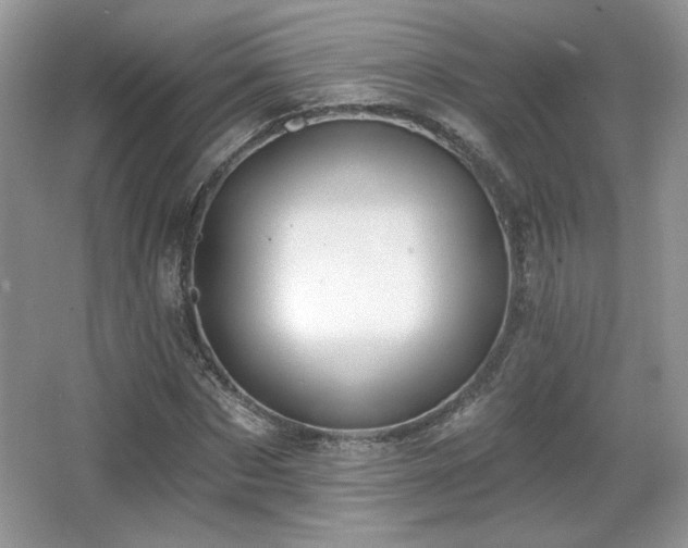 X0000066990873200603271311