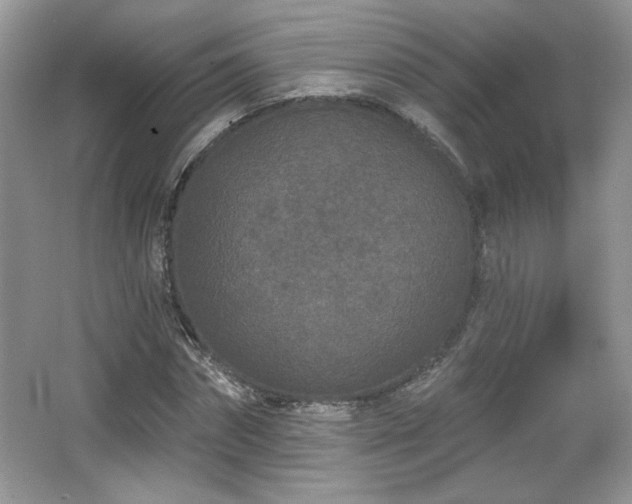 X0000066990874200603271311