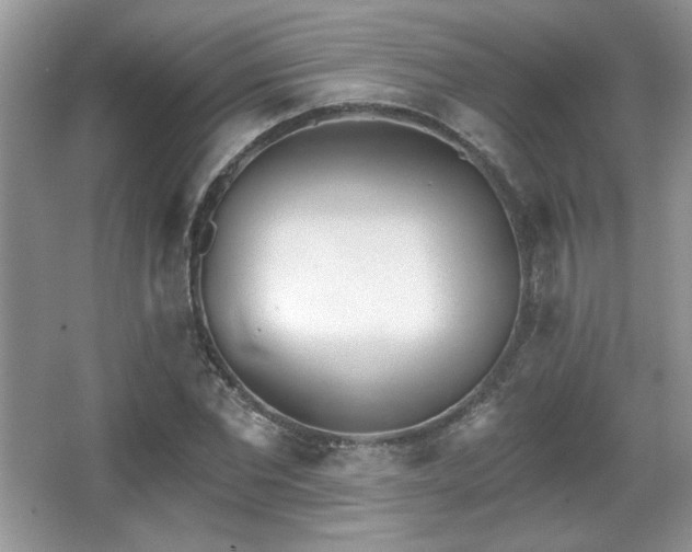 X0000066990877200603271311