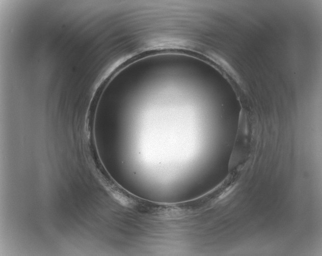 X0000066990885200603271311