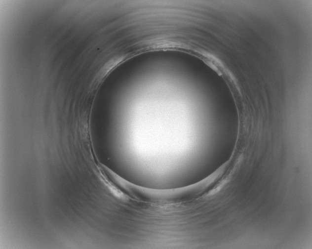 X0000066990897200603271311