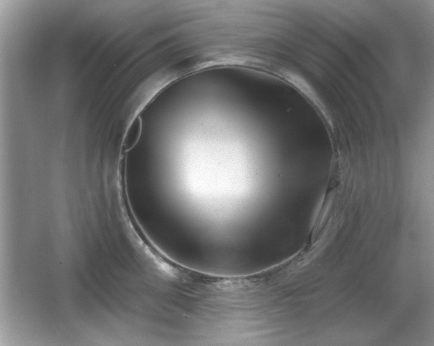 X0000066990906200603271311