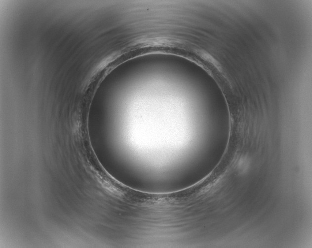 X0000066990922200603271310