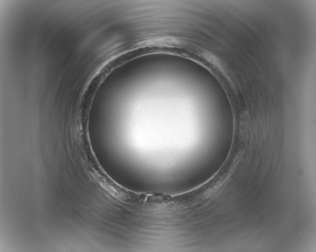 X0000066990923200603271310