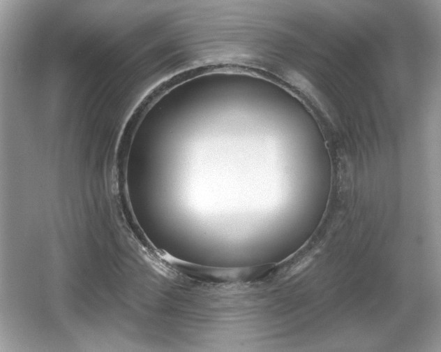 X0000066990924200603271310