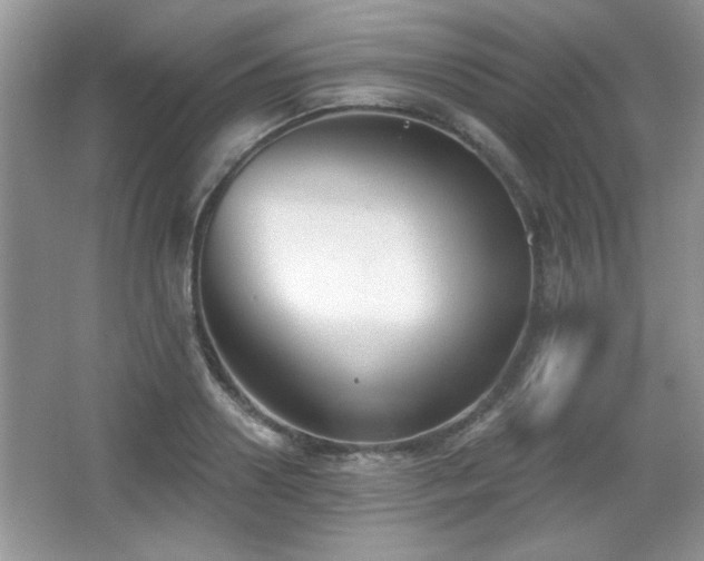 X0000066990938200603271310