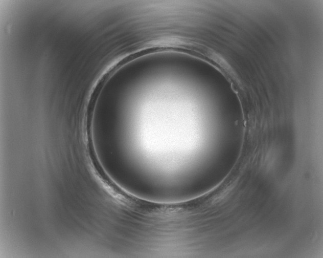 X0000066990939200603271310
