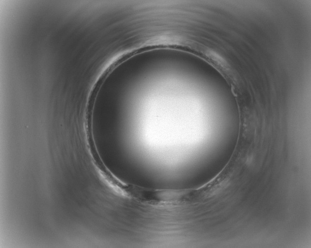 X0000066990942200603271311