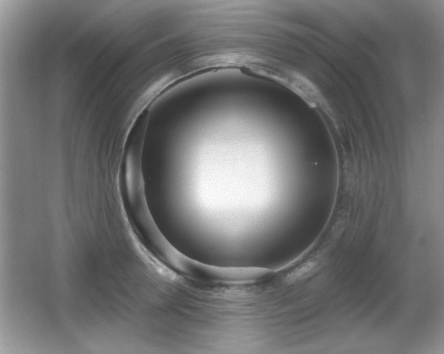 X0000066990946200603271311