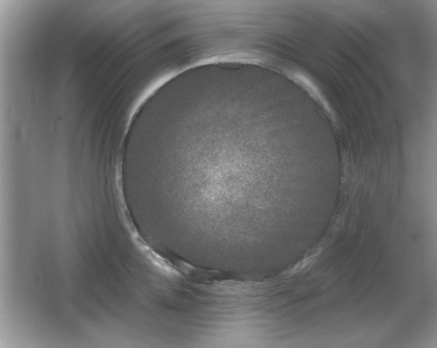 X0000066990952200603271311